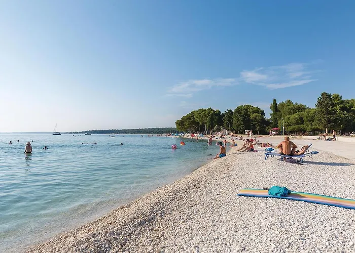 Gorgeous In With Kitchen Casa vacanze